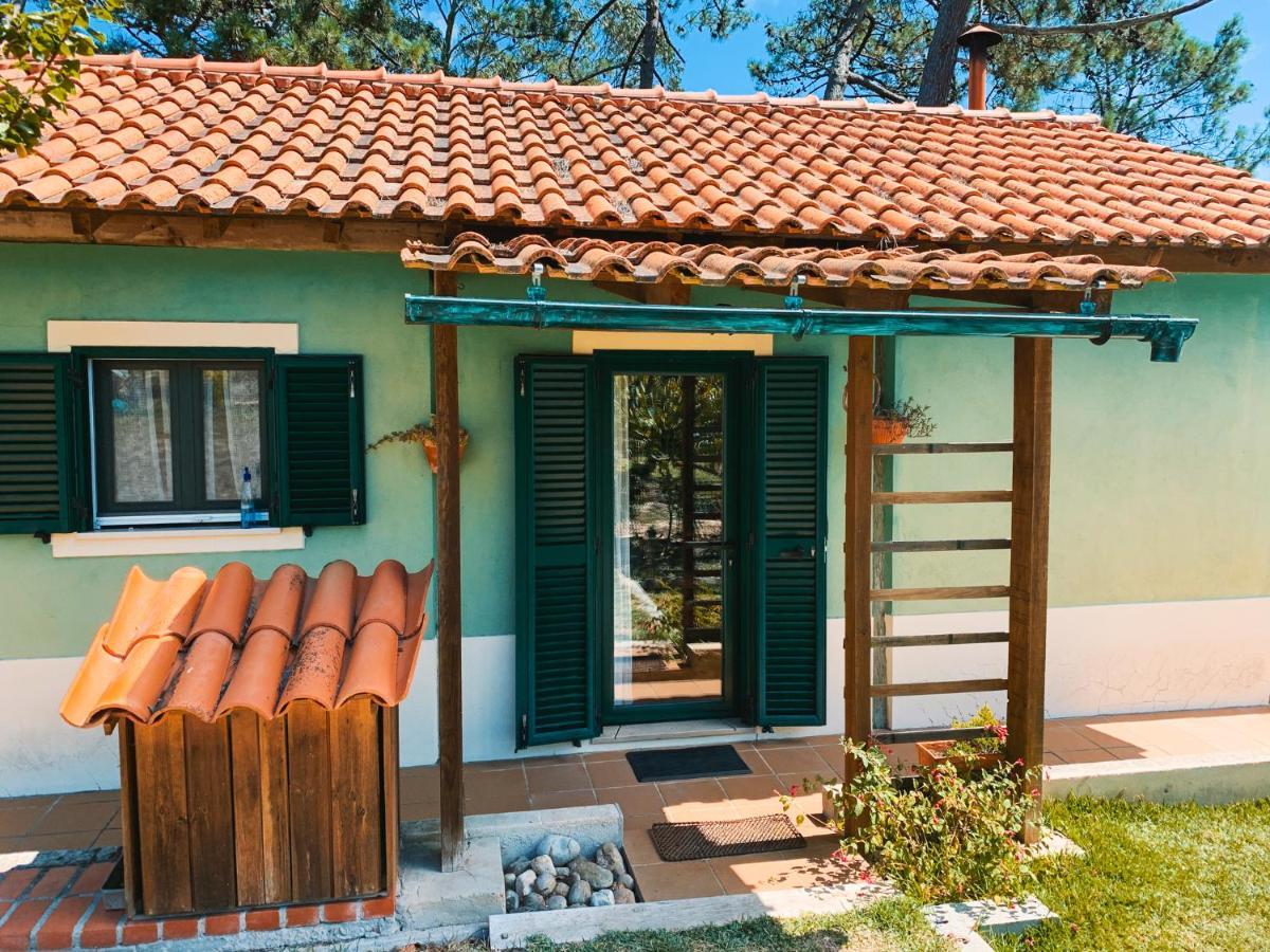 Ecobosque Villa Nadadouro Buitenkant foto