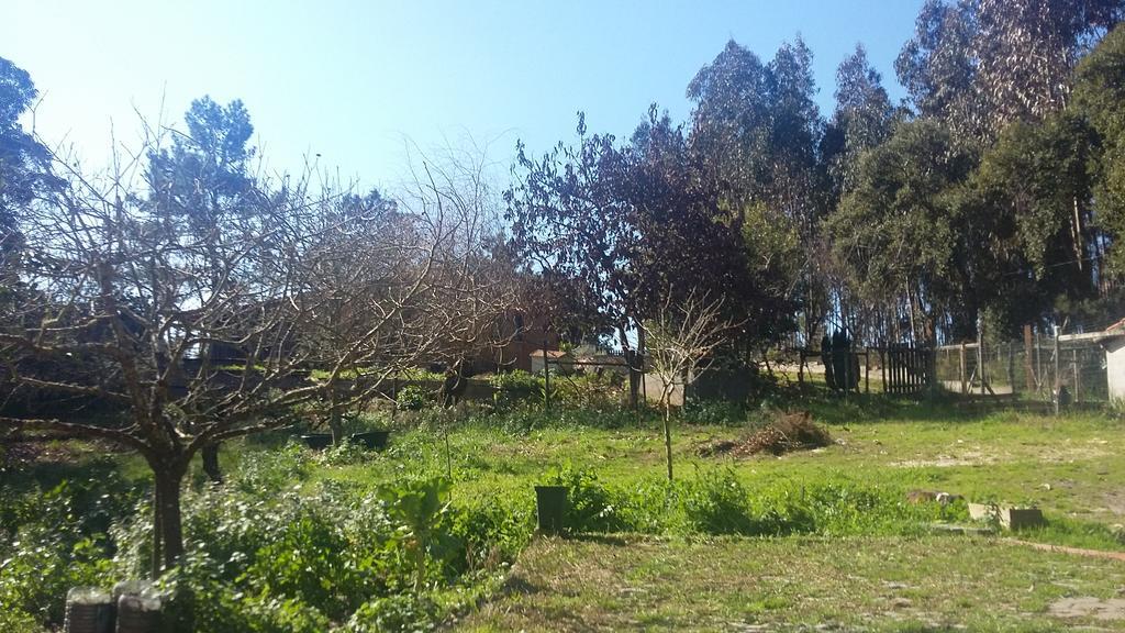 Ecobosque Villa Nadadouro Buitenkant foto