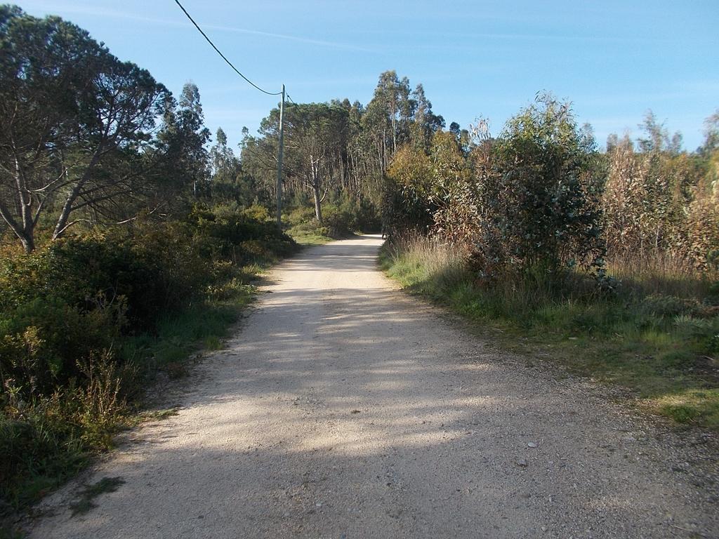 Ecobosque Villa Nadadouro Buitenkant foto