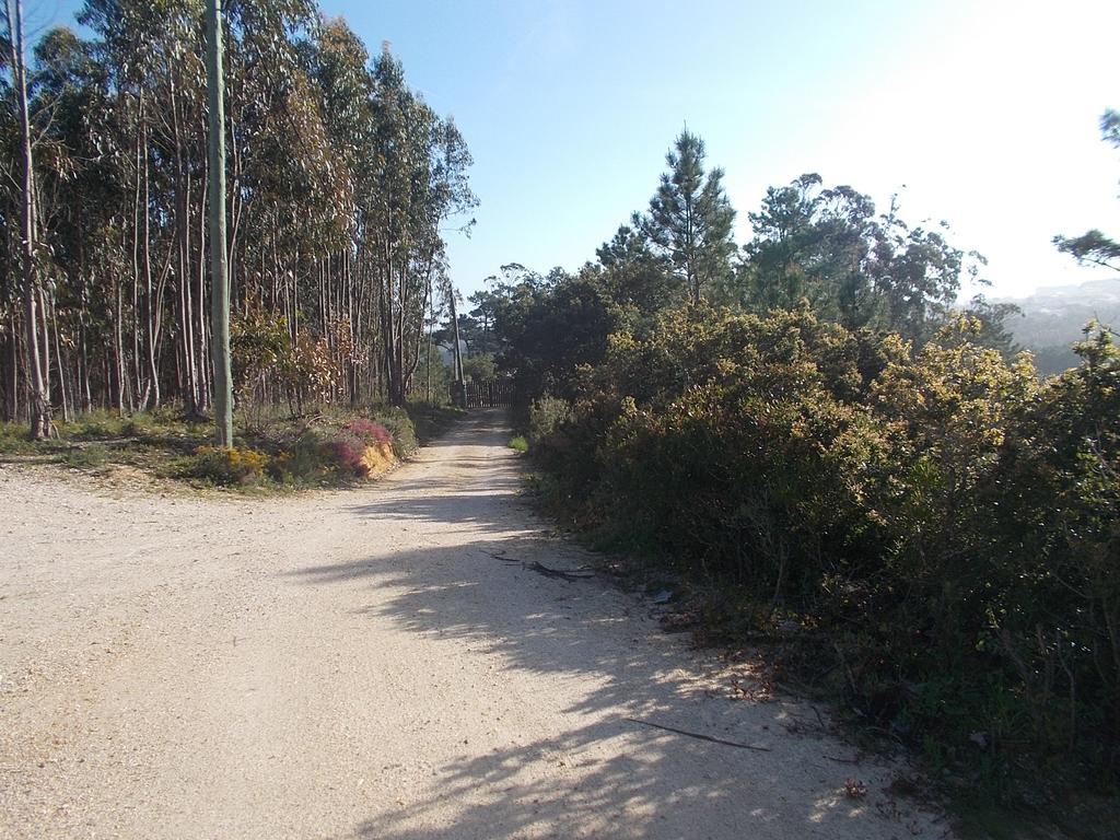 Ecobosque Villa Nadadouro Buitenkant foto