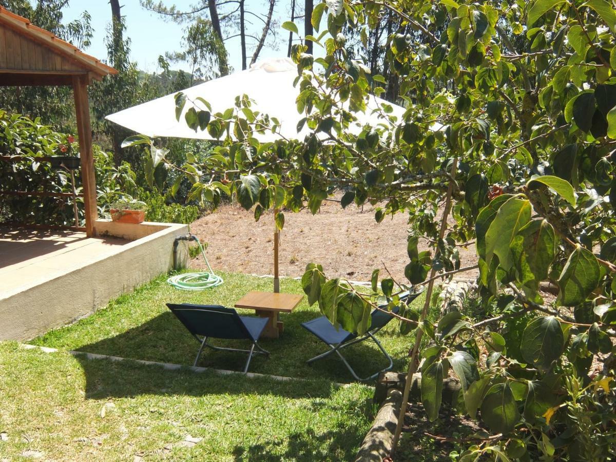 Ecobosque Villa Nadadouro Buitenkant foto